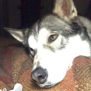 Meet your Posher, Kristy